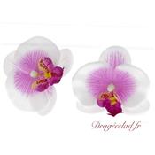 Orchide lilas et blanche par 10