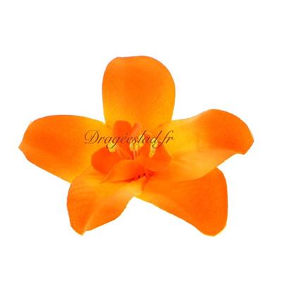 Orchidée orange x 10