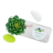 Boite drages mtal nature plante succulente