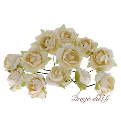 Bouquet de 12 roses ivoire