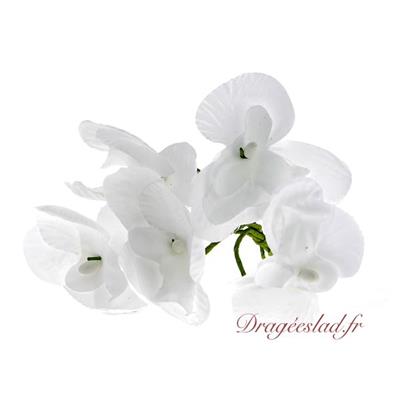 Orchidée blanche en x 10