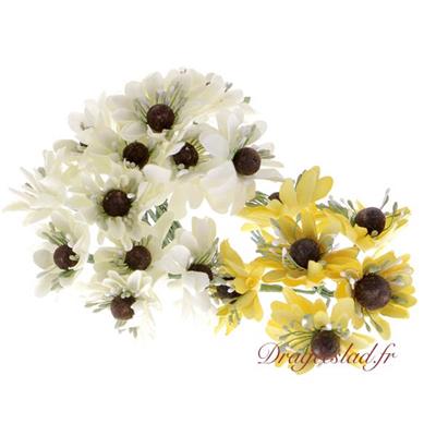 Bouquet de marguerites