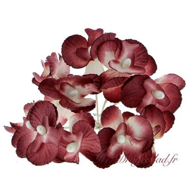 Orchidée bordeaux x 12