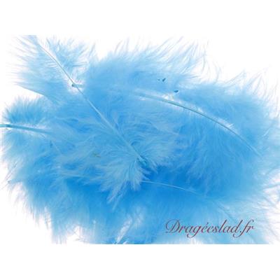 Plume turquoise sachet de 20