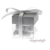 Boite  drages cube transparent argent nacr