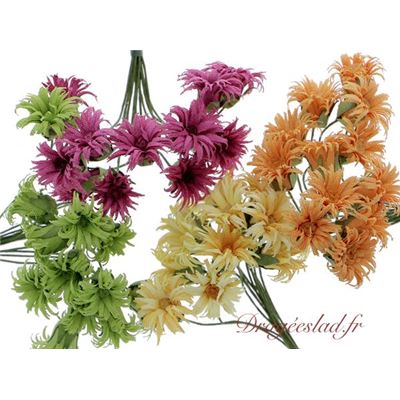 Bouquet d'edelweiss