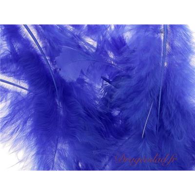 Plume bleu royal en sachet