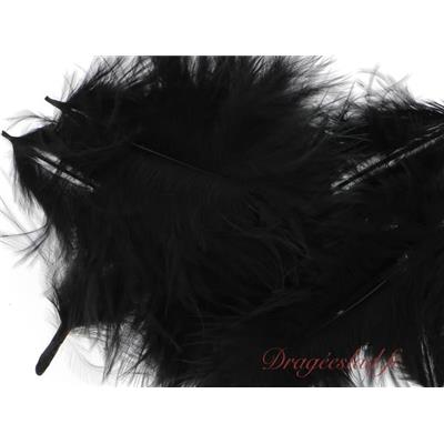 Plume noire sachet de 20