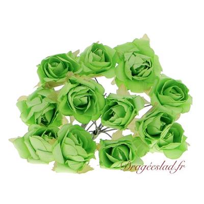 Bouquet de 12 roses vert anis