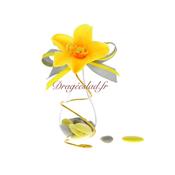 Goutte dragées Orchidée grise et jaune