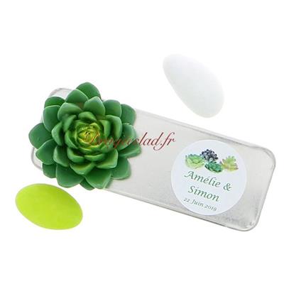 Boite dragées métal nature plante succulente