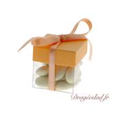 Boite  drages cube transparent corail