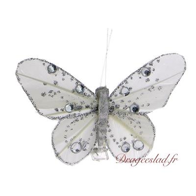Papillon sur pince Argent GM