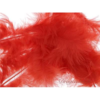 Plume rouge sachet de 20