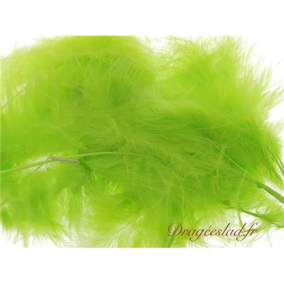 Plume vert anis sachet de 20