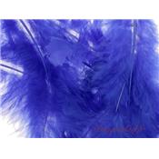 Plume bleu royal en sachet