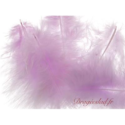 Plume lilas sachet de 20